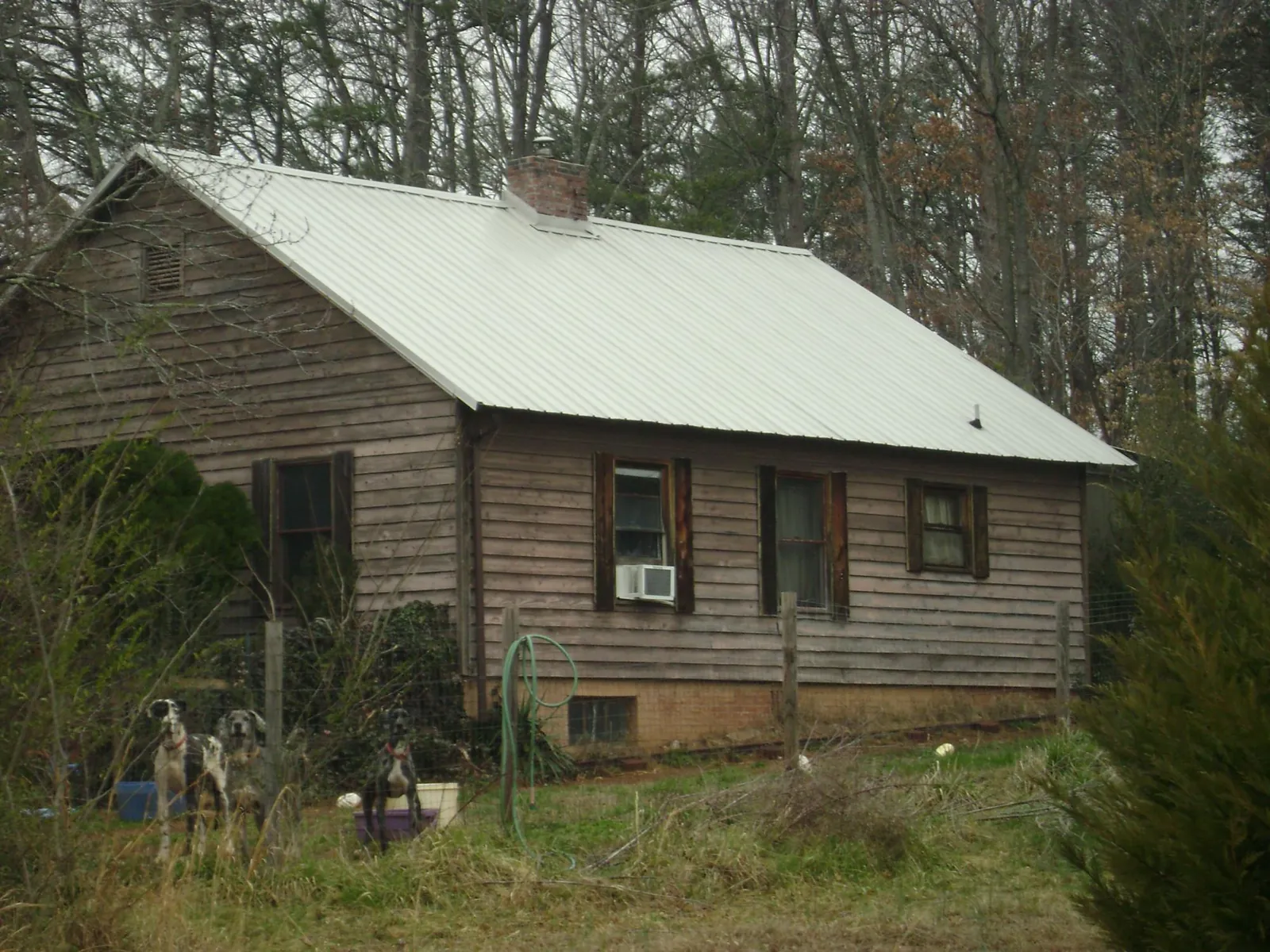 White metal roof on an old wood sided farmhouse, from a Asphalt Shingle Roof Repair job in Dixon